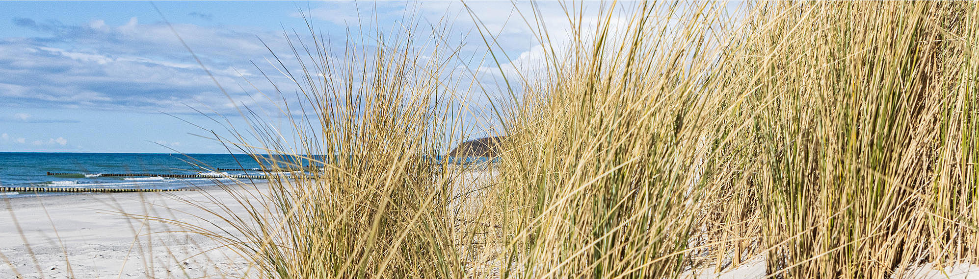 Natur und Ruhe auf der Insel Hiddensee genießen