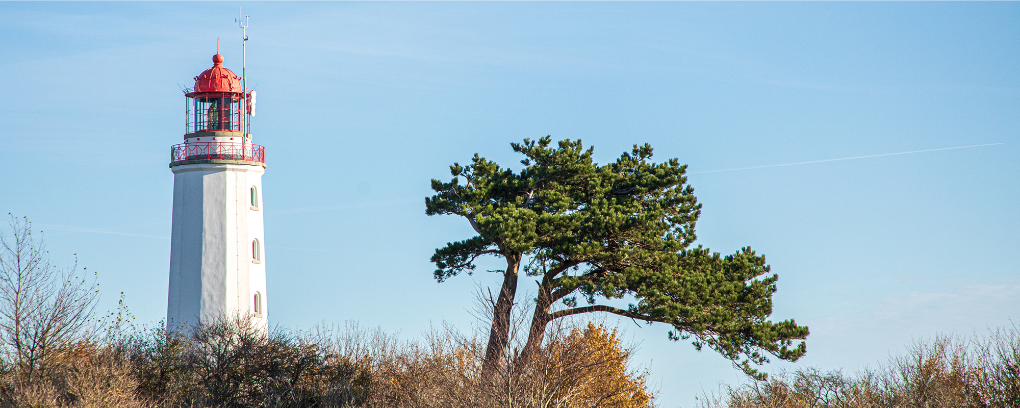 Autumn on isle Hiddensee