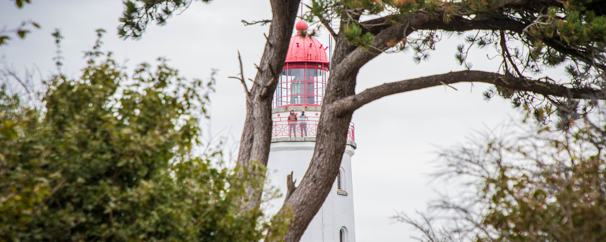 Der Leuchtturm auf dem Schluckwieksberg