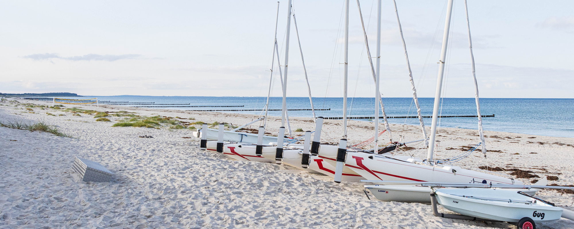 Naturschönheiten auf der Insel Hiddensee entdecken