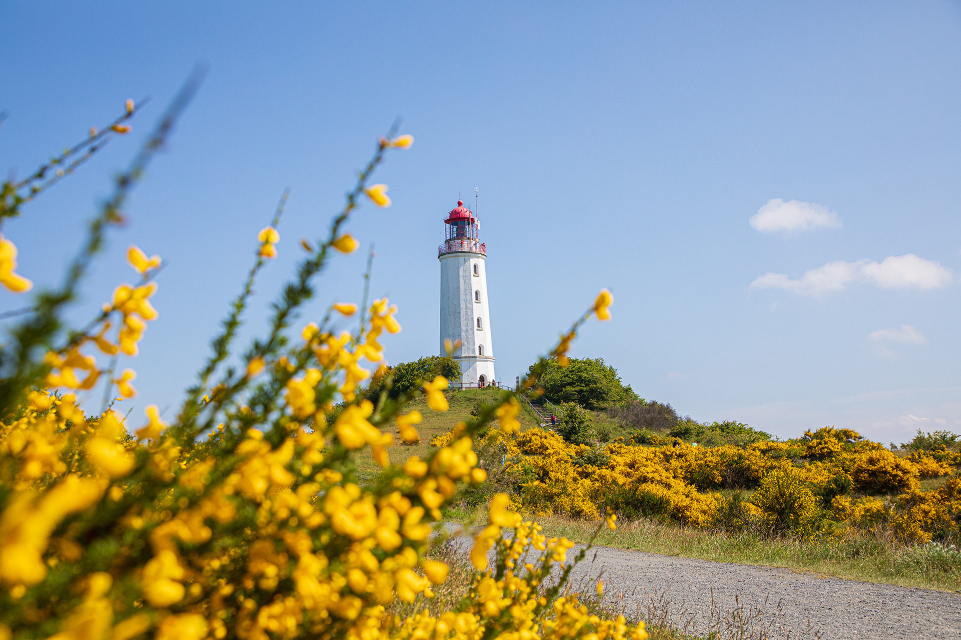 Leuchtturm Dornbusch